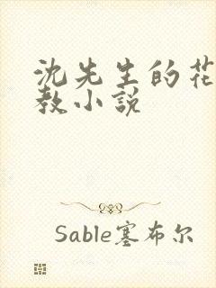 沈先生的花式调教小说