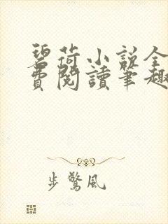 碧荷小说全文免费阅读笔趣阁