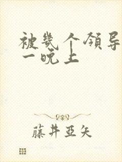 被几个领导玩弄一晚上