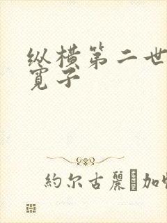 纵横第二世界 宽子