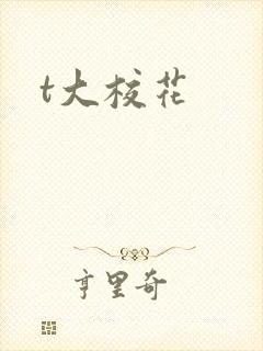 t大校花