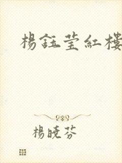 杨钰莹红楼
