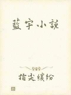 蓝宇小说