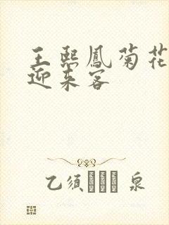 王熙凤菊花门初迎来客