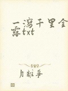 一泻千里金银花露txt