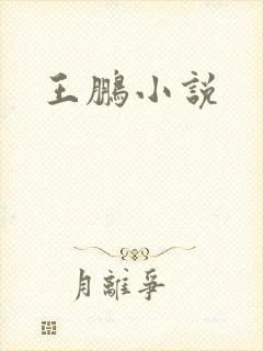 王鹏小说