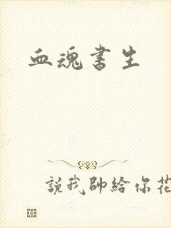 血魂书生