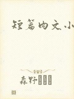 短篇肉文小说