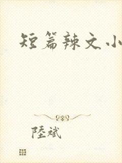 短篇辣文小说