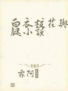 白衣校花与大长腿小说