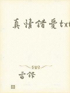 真情错爱txt