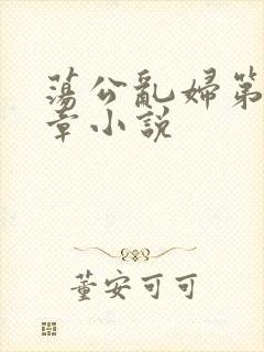 荡公乱妇第51章小说