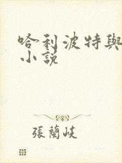 哈利波特与密室小说