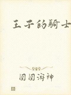 王子的骑士
