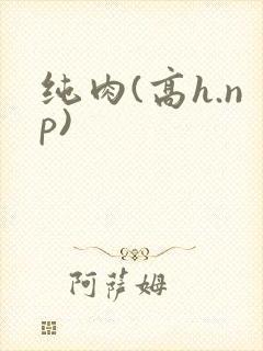 纯肉(高h.np)