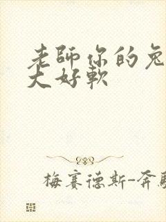 老师你的兔子好大好软