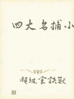 四大名捕小说
