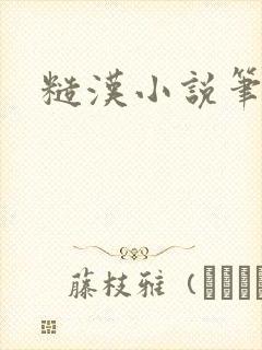 糙汉小说笔趣阁