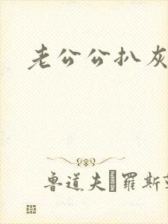 老公公扒灰小说