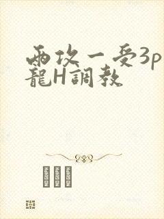 两攻一受3p双龙H调教