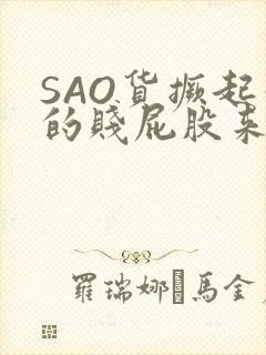 SAO货撅起你的贱屁股来