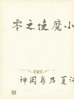零之使魔小说