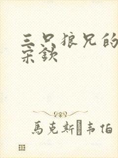 三只狼兄的宠妻宋钦