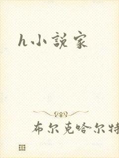 h小说家