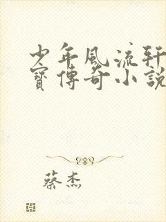 少年风流轩辕大宝传奇小说