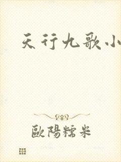 天行九歌小说
