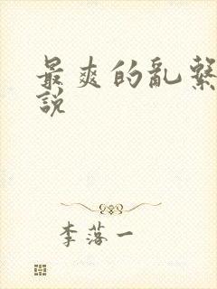 最爽的乱系列小说