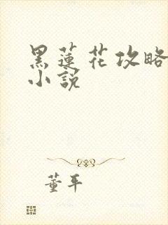 黑莲花攻略手册小说