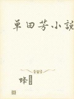 单田芳小说