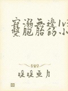 宠溺无边1v3双胞胎的小说