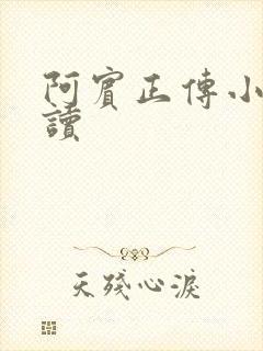 阿宾正传小说在读