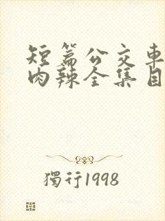 短篇公交车高h肉辣全集目录