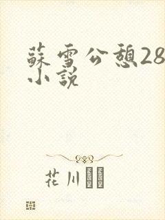 苏雪公憩28篇小说