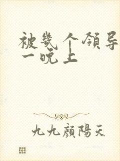 被几个领导玩弄一晚上