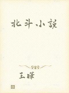 北斗小说