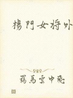 杨门女将外传
