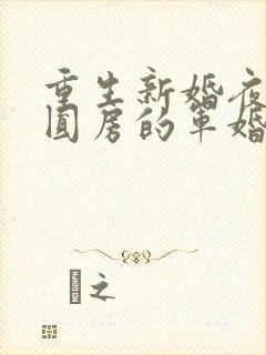 重生新婚夜正在圆房的军婚