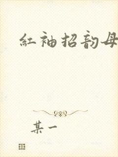 红袖招韵母攻略