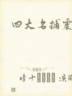 四大名捕震关东