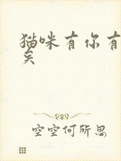 猫咪有你有我足矣