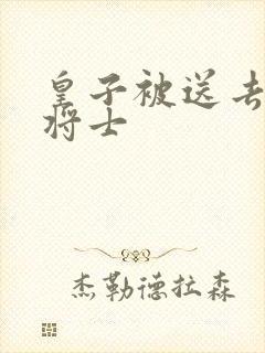 皇子被送去犒劳将士