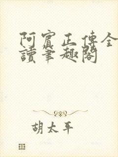 阿宾正传全文阅读笔趣阁