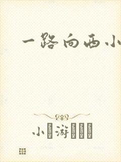 一路向西小说
