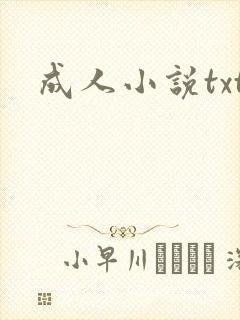 成人小说txt