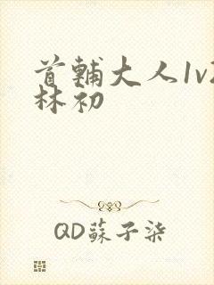 首辅大人1v2林初