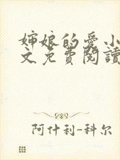 婶娘的爱小说全文免费阅读